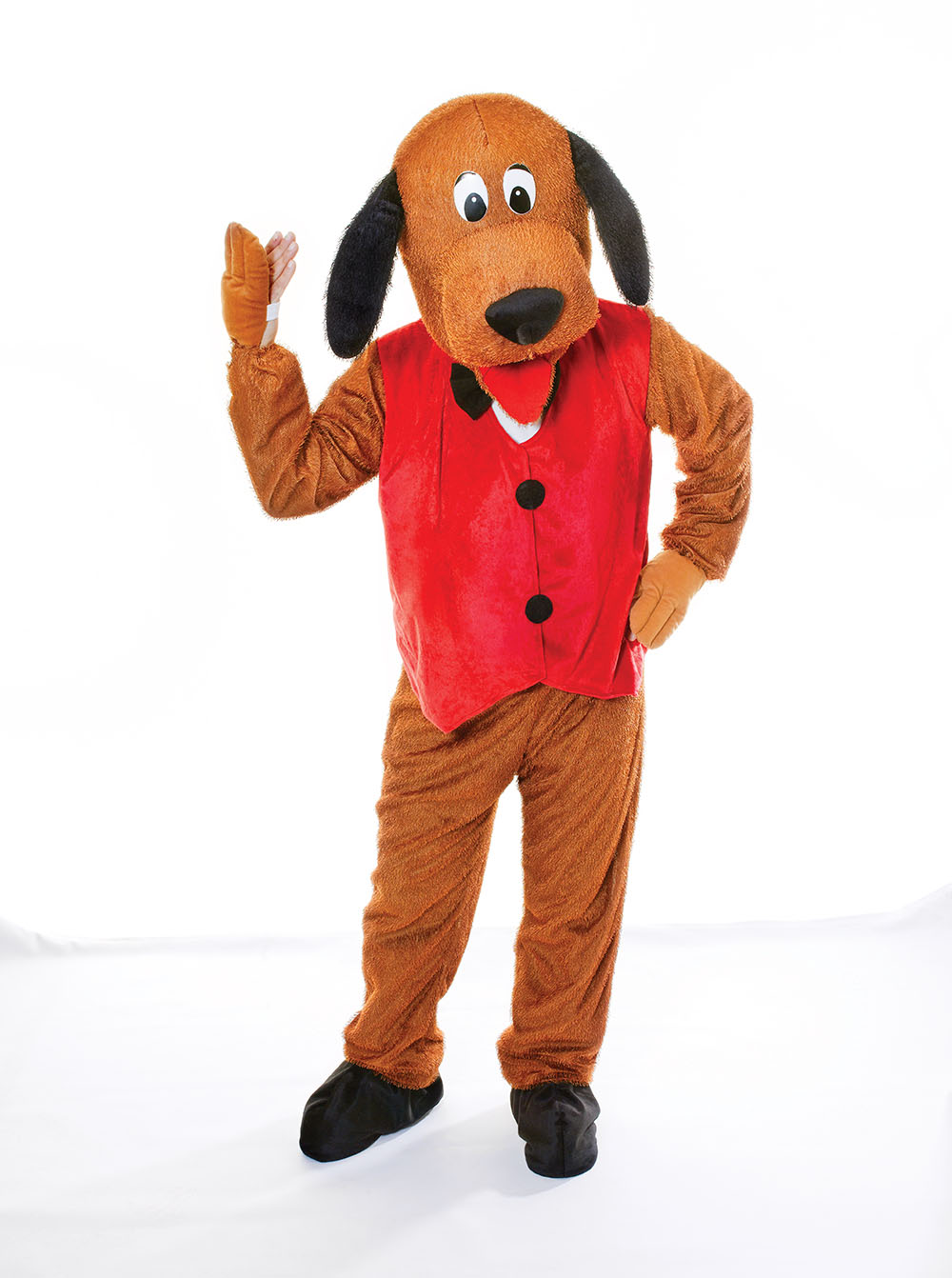 Dog With Waistcoat. Big Head