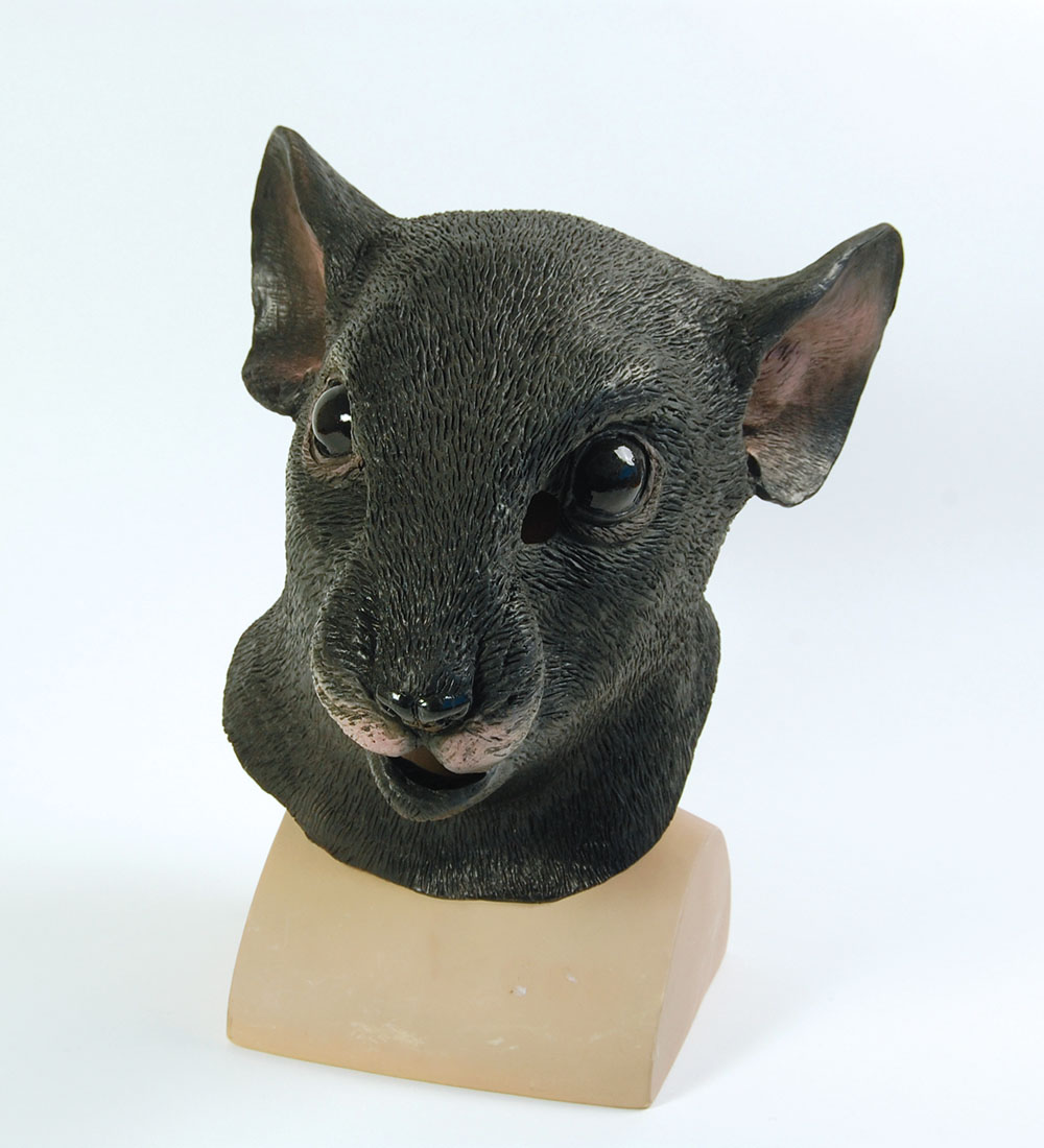 Rat