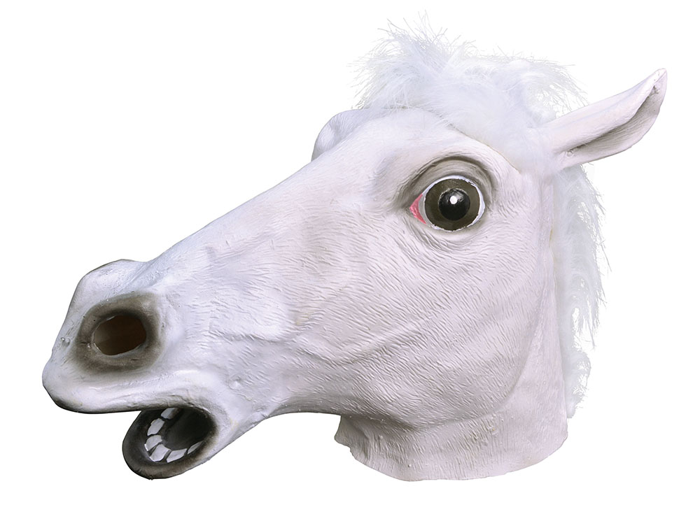 Horse. White