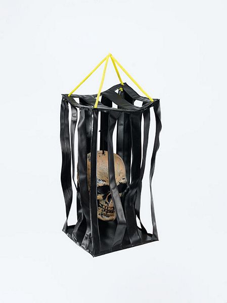 Skull Cage. Small