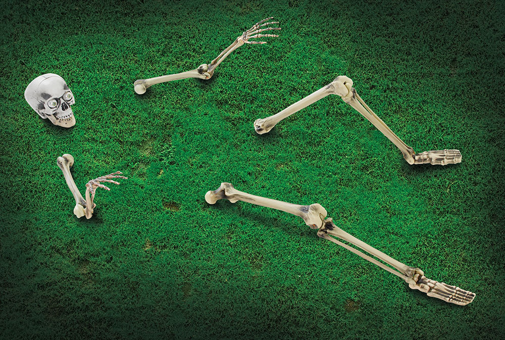 Skeleton Ground Breaker + Flashing Eyes