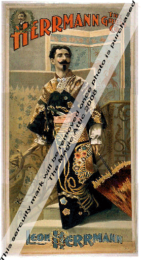 Herrmann - Eastern Dress