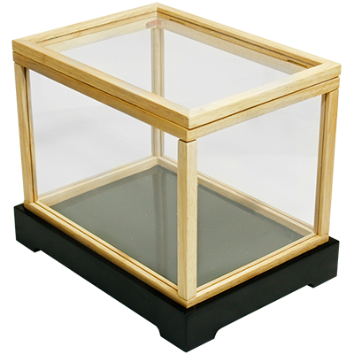 Illusion money box (With monitary notes) - Trick